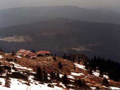 Bayerischer Wald