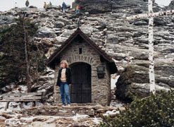 Bayerische Wald